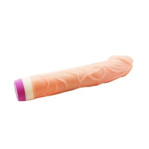 Multi Speed Vibrator