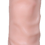 XS Suction Testissiz Dildo Et Dokusu Süper Realistik Penis 24 cm